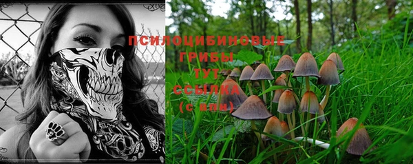 PSILOCYBIN Балабаново