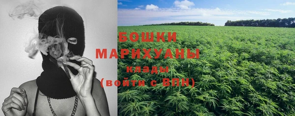 PSILOCYBIN Балабаново