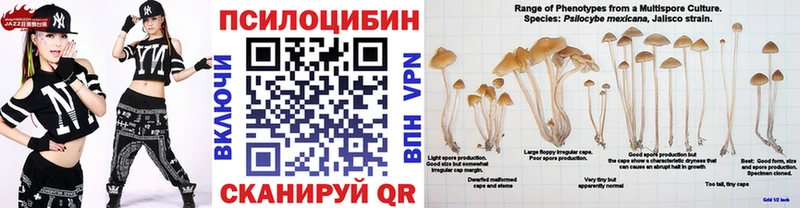 Псилоцибиновые грибы прущие грибы  где продают   Заводоуковск 